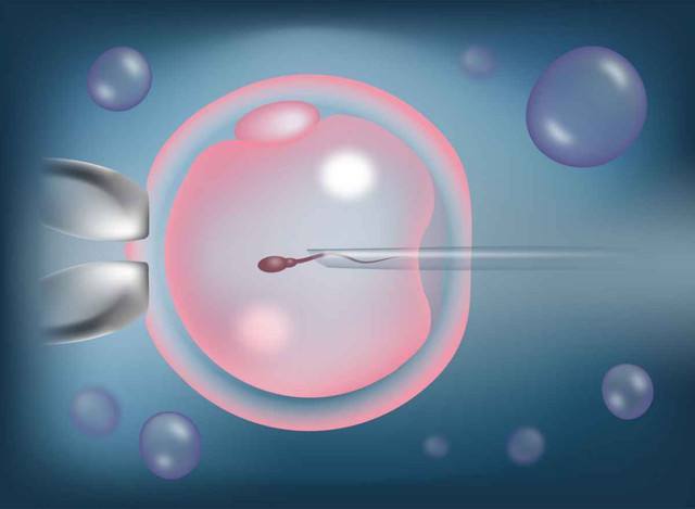 输卵管感染对供卵自怀机构有影响吗？