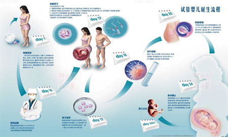 第一二代做供卵试管成功率多高