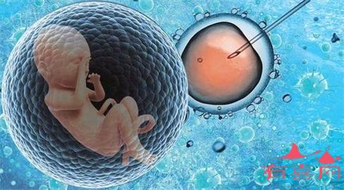 广西试管代怀合法医院专家科普囊胚与成功率之间的关系