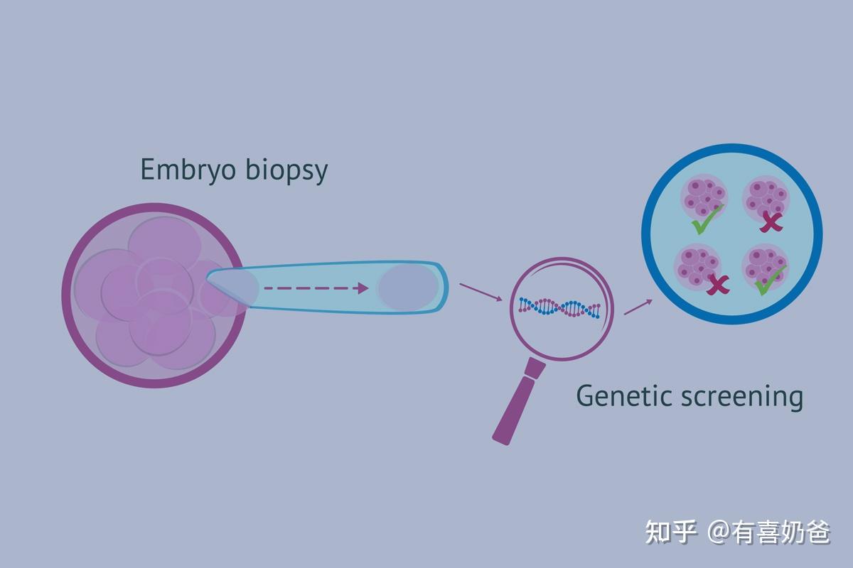 试管移植七次失败找不到原因