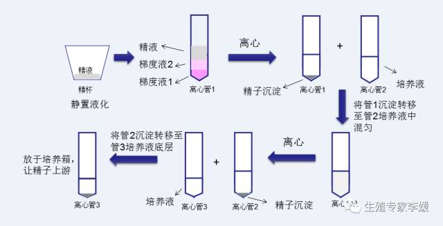 试管代怀包生仔取卵时孕酮高_试管代怀的利与弊取卵前孕酮高说明什么意思